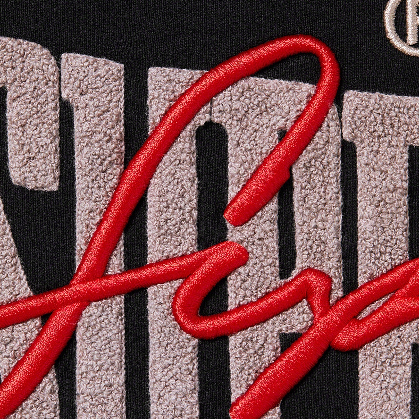 Embroidered Chenille Hooded Sweatshirt view 11